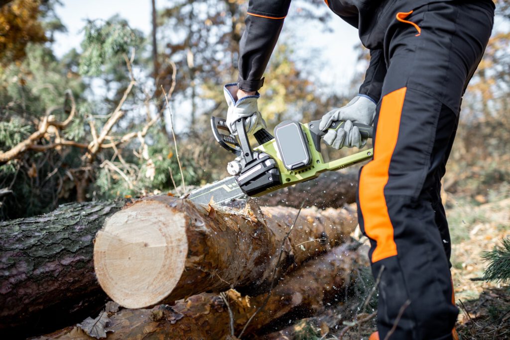 Professional logger cutting with a chainsaw