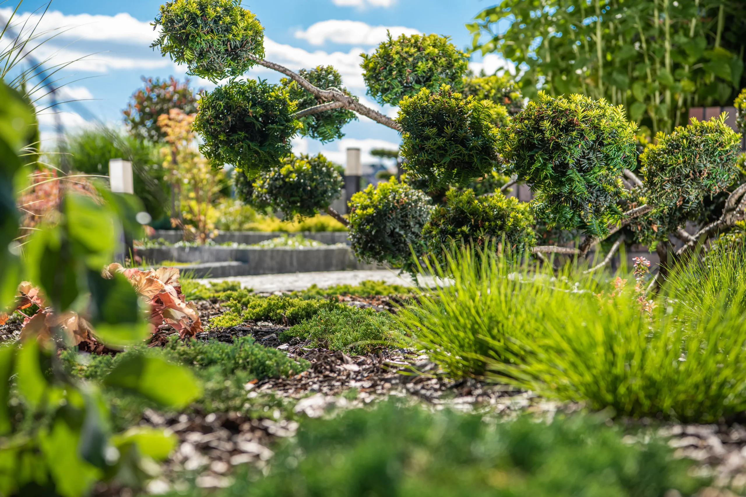 Gartenbau Bad Homburg