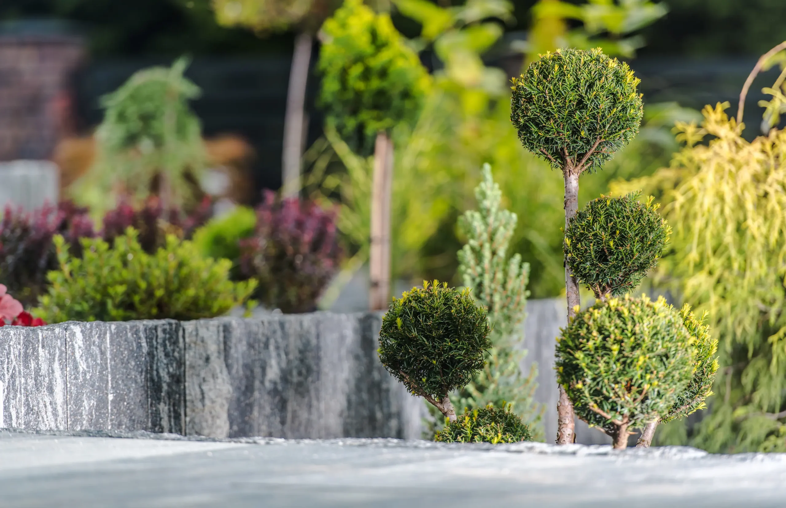 Gartenbau Bad Vilbel