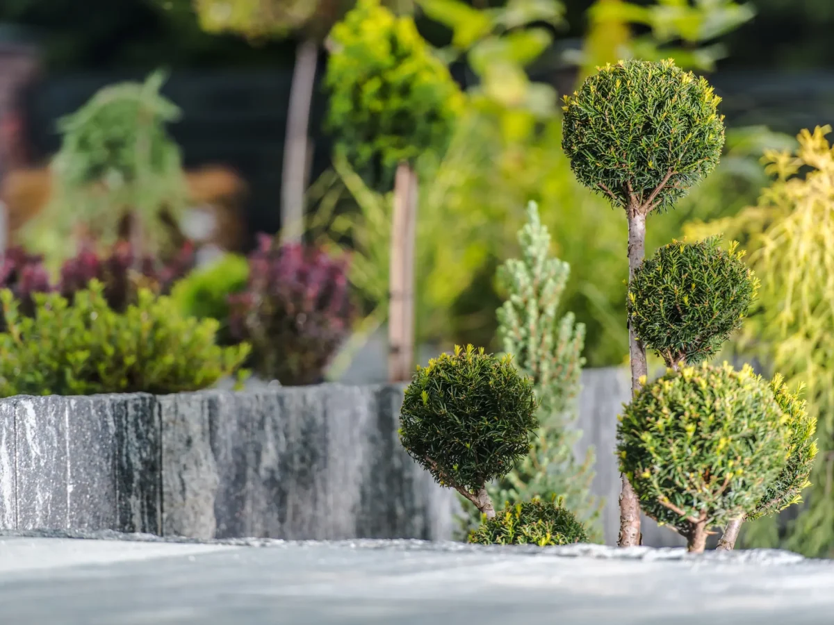 Gartenbau Bad Vilbel